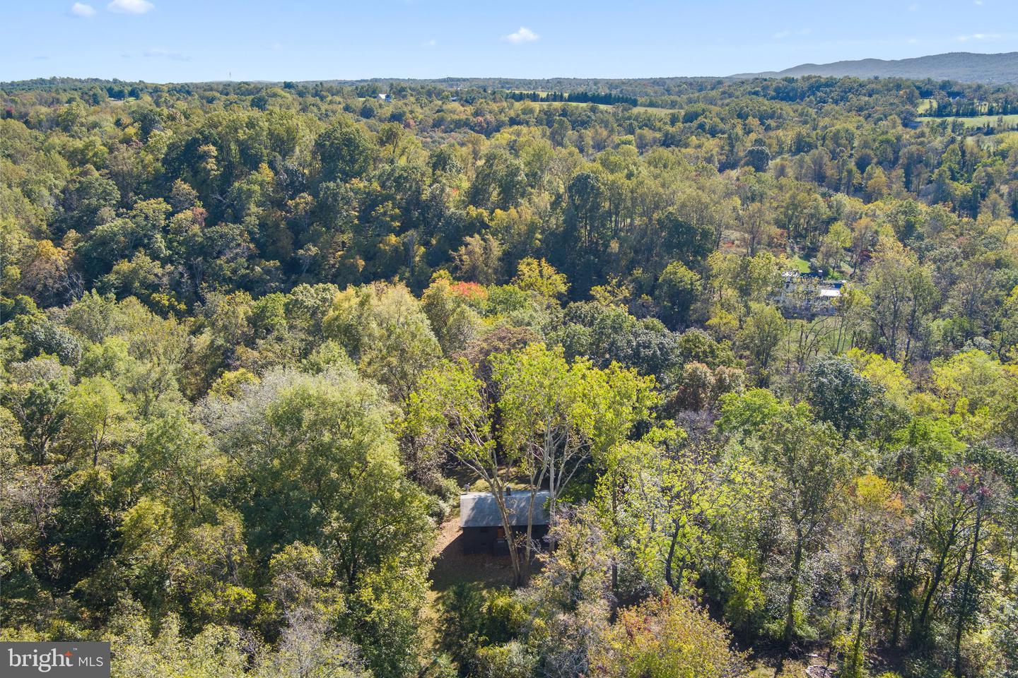 11332 DUTCHMANS CREEK RD, LOVETTSVILLE, Virginia 20180, ,Farm,For sale,11332 DUTCHMANS CREEK RD,VALO2098828 MLS # VALO2098828