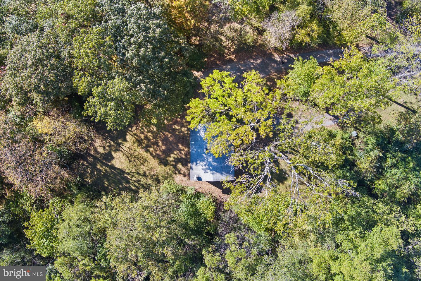 11332 DUTCHMANS CREEK RD, LOVETTSVILLE, Virginia 20180, ,Farm,For sale,11332 DUTCHMANS CREEK RD,VALO2098828 MLS # VALO2098828