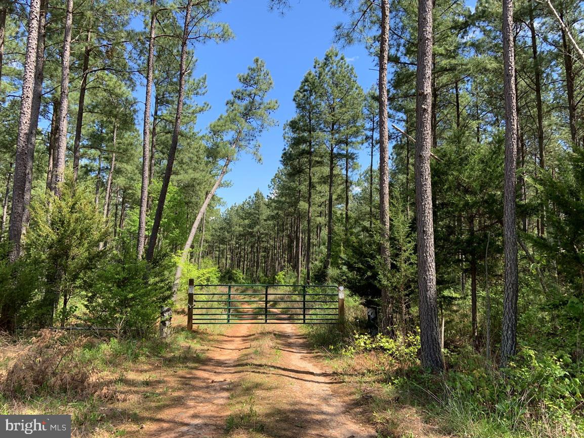 HUNTERS ROAD (RT. 736) (BK1442-1 TRACT), RED HOUSE, Virginia 23963, ,Farm,For sale,HUNTERS ROAD (RT. 736) (BK1442-1 TRACT),VACE2000014 MLS # VACE2000014
