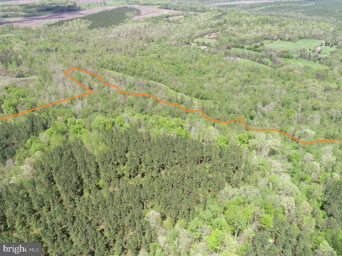 HUNTERS ROAD (RT. 736) (BK1442-1 TRACT), RED HOUSE, Virginia 23963, ,Farm,For sale,HUNTERS ROAD (RT. 736) (BK1442-1 TRACT),VACE2000014 MLS # VACE2000014