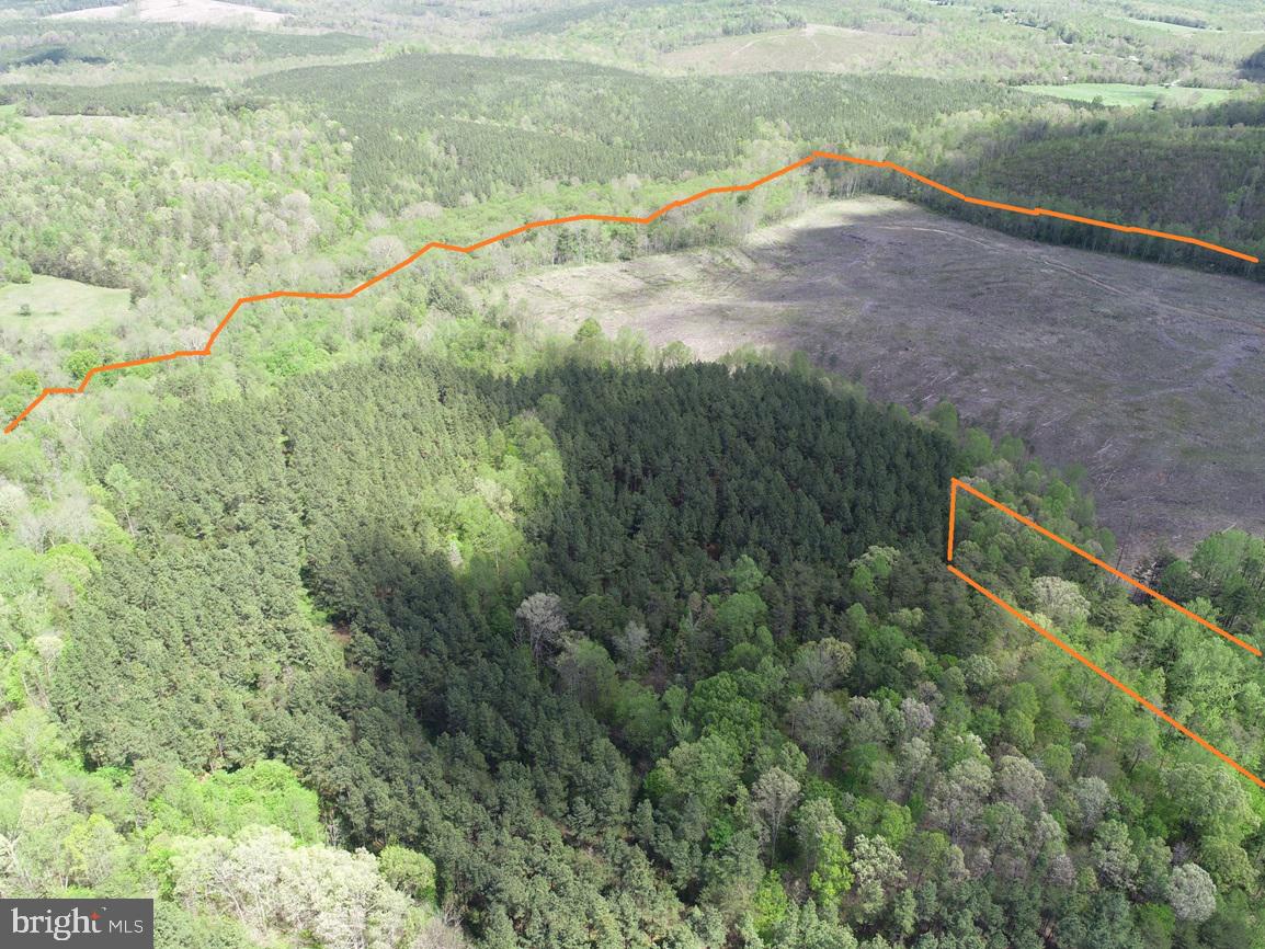 HUNTERS ROAD (RT. 736) (BK1442-1 TRACT), RED HOUSE, Virginia 23963, ,Farm,For sale,HUNTERS ROAD (RT. 736) (BK1442-1 TRACT),VACE2000014 MLS # VACE2000014