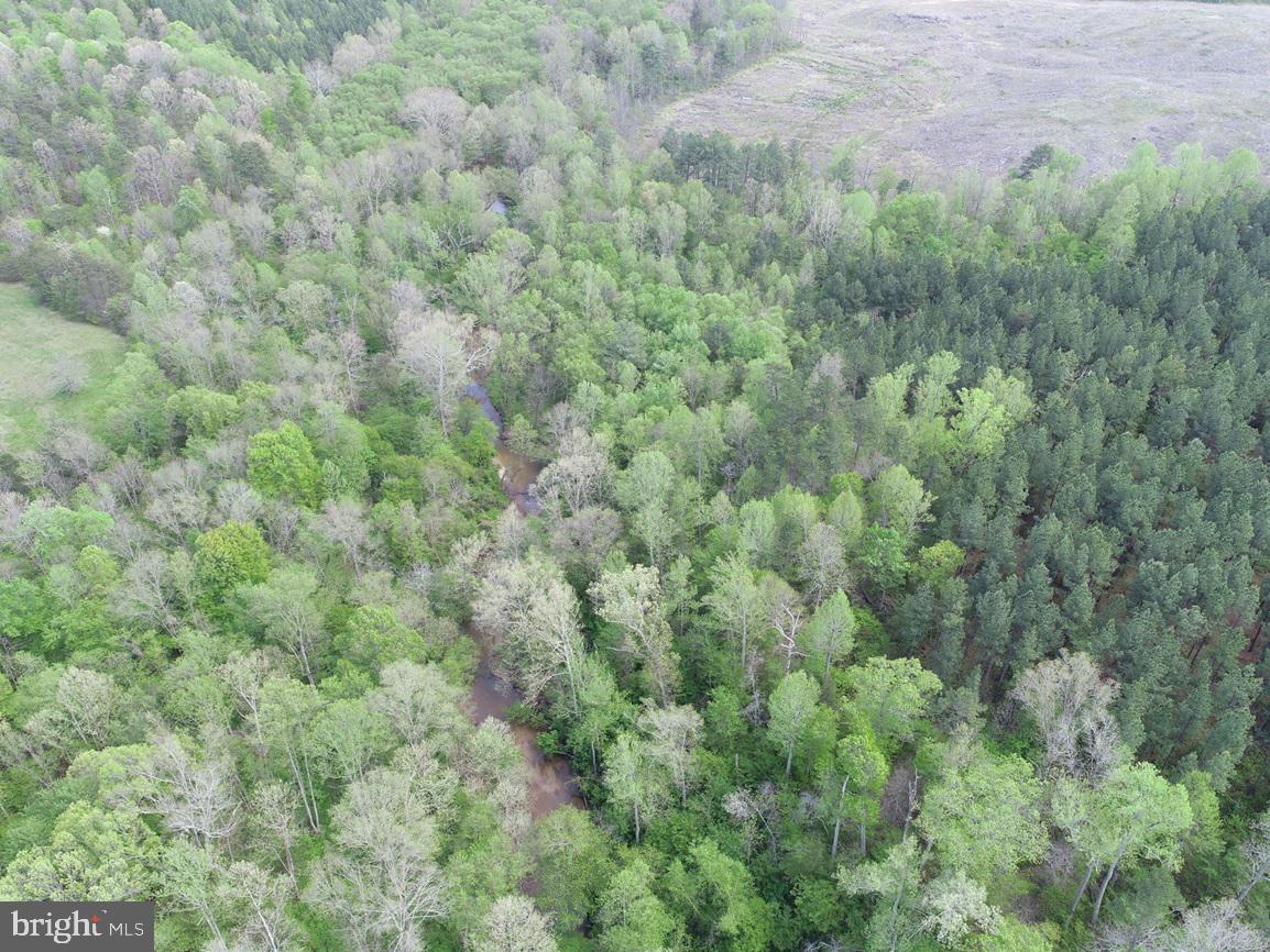 HUNTERS ROAD (RT. 736) (BK1442-1 TRACT), RED HOUSE, Virginia 23963, ,Farm,For sale,HUNTERS ROAD (RT. 736) (BK1442-1 TRACT),VACE2000014 MLS # VACE2000014