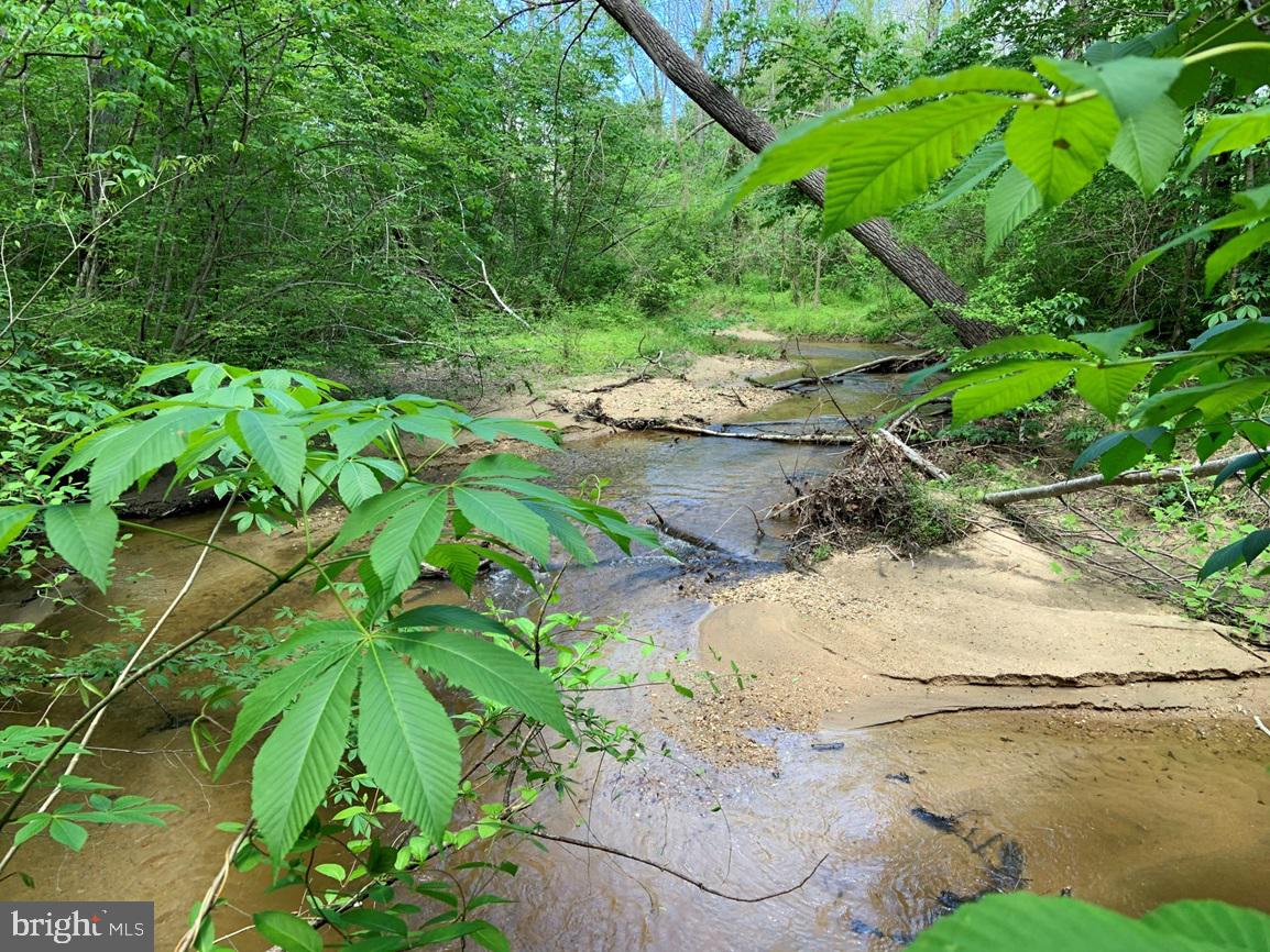 HUNTERS ROAD (RT. 736) (BK1442-1 TRACT), RED HOUSE, Virginia 23963, ,Farm,For sale,HUNTERS ROAD (RT. 736) (BK1442-1 TRACT),VACE2000014 MLS # VACE2000014