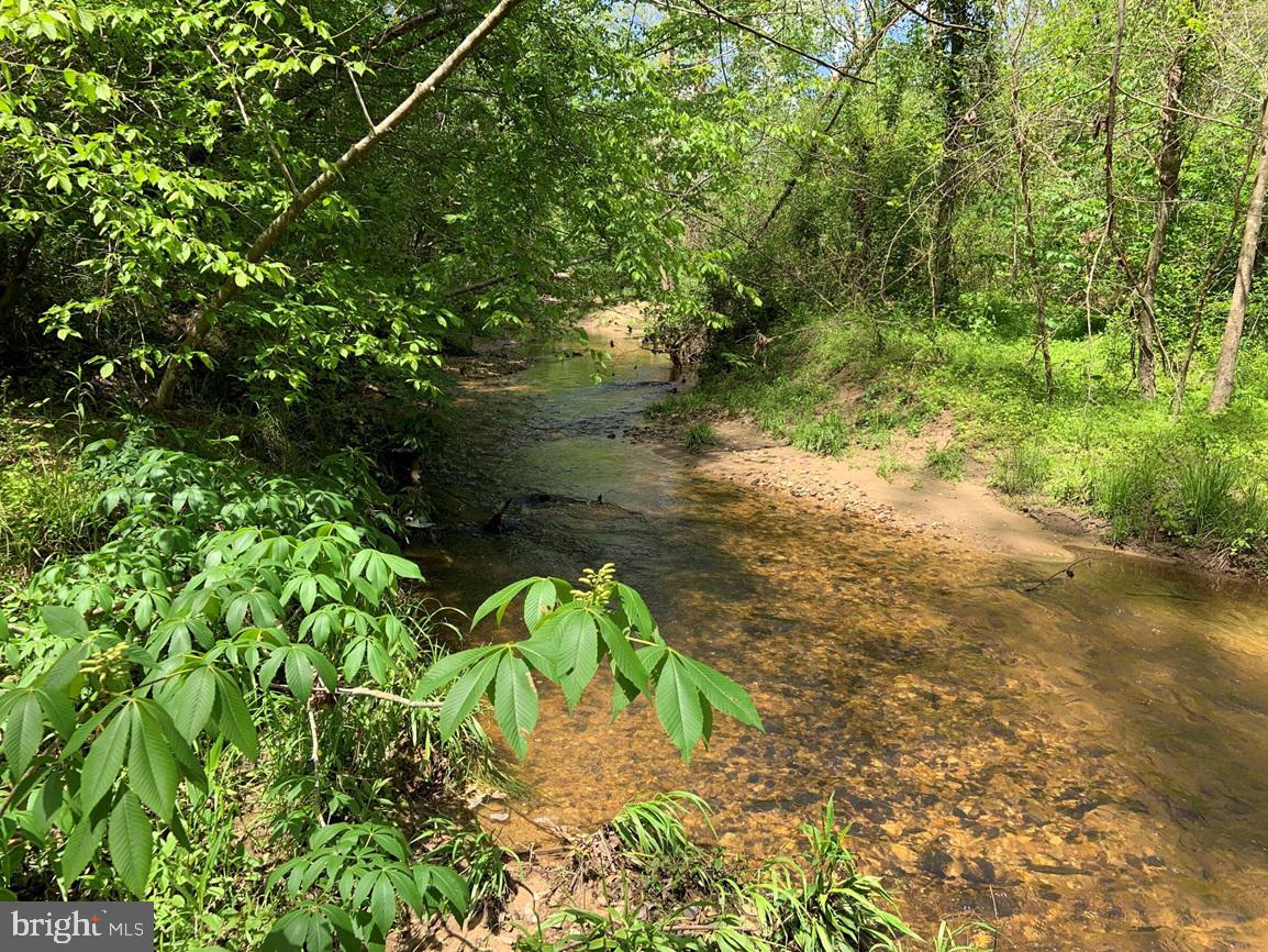 HUNTERS ROAD (RT. 736) (BK1442-1 TRACT), RED HOUSE, Virginia 23963, ,Farm,For sale,HUNTERS ROAD (RT. 736) (BK1442-1 TRACT),VACE2000014 MLS # VACE2000014