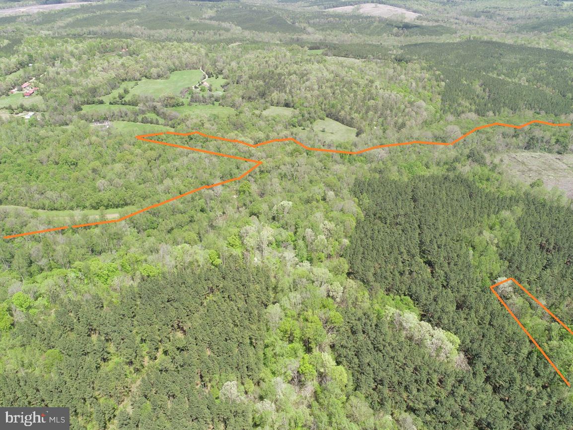 HUNTERS ROAD (RT. 736) (BK1442-1 TRACT), RED HOUSE, Virginia 23963, ,Farm,For sale,HUNTERS ROAD (RT. 736) (BK1442-1 TRACT),VACE2000014 MLS # VACE2000014