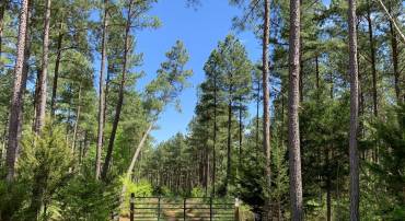 HUNTERS ROAD (RT. 736) (BK1442-1 TRACT), RED HOUSE, Virginia 23963, ,Farm,For sale,HUNTERS ROAD (RT. 736) (BK1442-1 TRACT),VACE2000014 MLS # VACE2000014