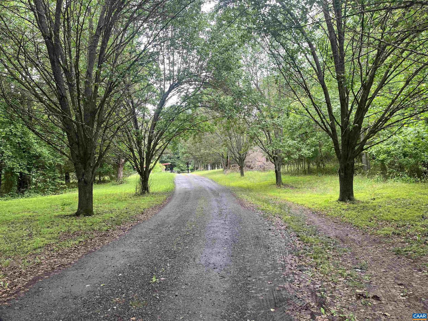 5878A BUFFALO RIVER RD, EARLYSVILLE, Virginia 22936, ,Land,For sale,5878A BUFFALO RIVER RD,665408 MLS # 665408