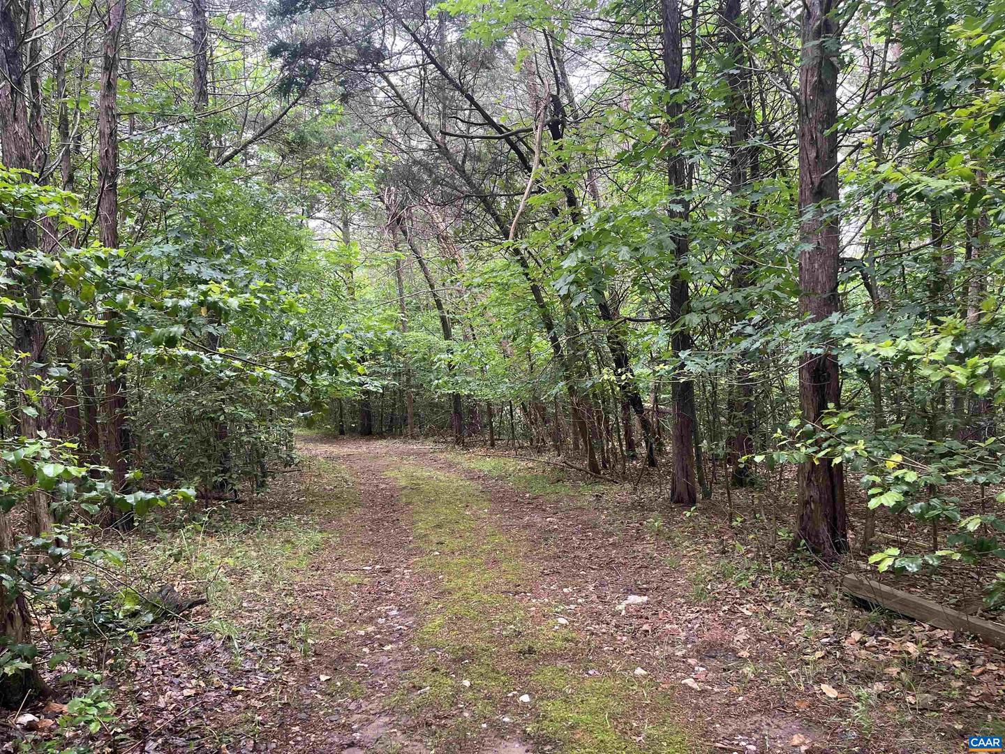 5878A BUFFALO RIVER RD, EARLYSVILLE, Virginia 22936, ,Land,For sale,5878A BUFFALO RIVER RD,665408 MLS # 665408
