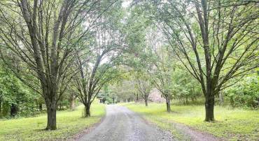 5878A BUFFALO RIVER RD, EARLYSVILLE, Virginia 22936, ,Land,For sale,5878A BUFFALO RIVER RD,665408 MLS # 665408