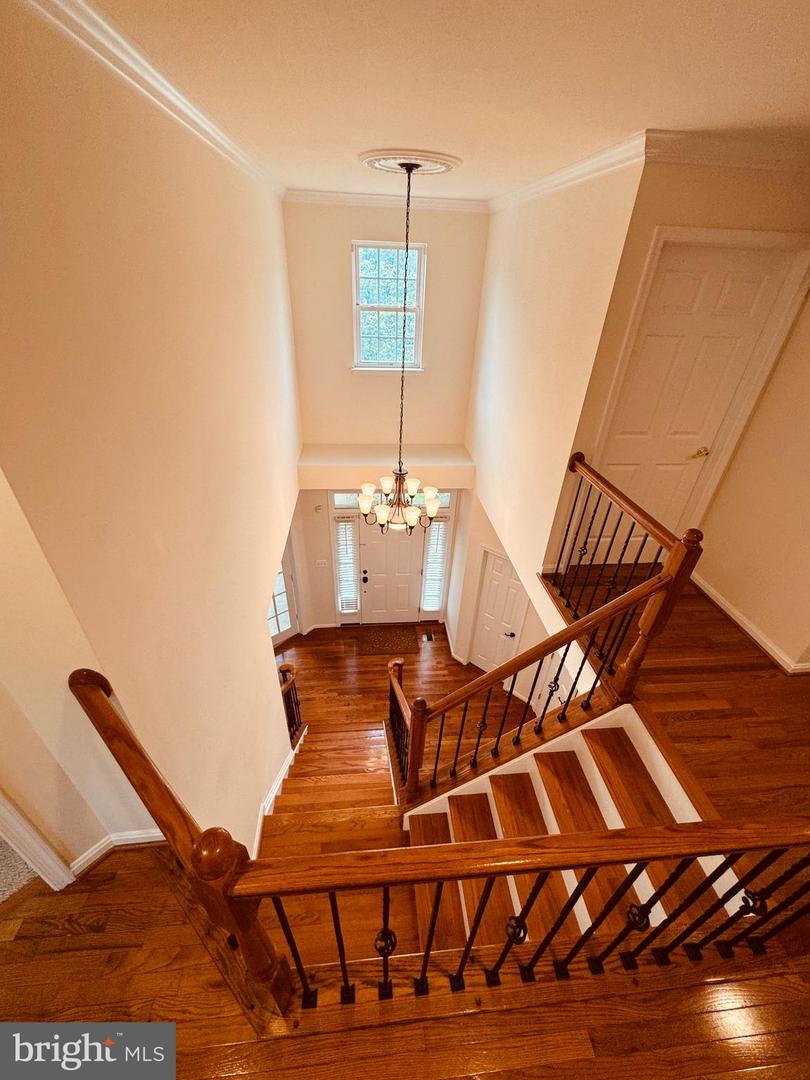 12253 TULANE FALLS DR, BRISTOW, Virginia 20136, 6 Bedrooms Bedrooms, ,3 BathroomsBathrooms,Residential,For sale,12253 TULANE FALLS DR,VAPW2091652 MLS # VAPW2091652