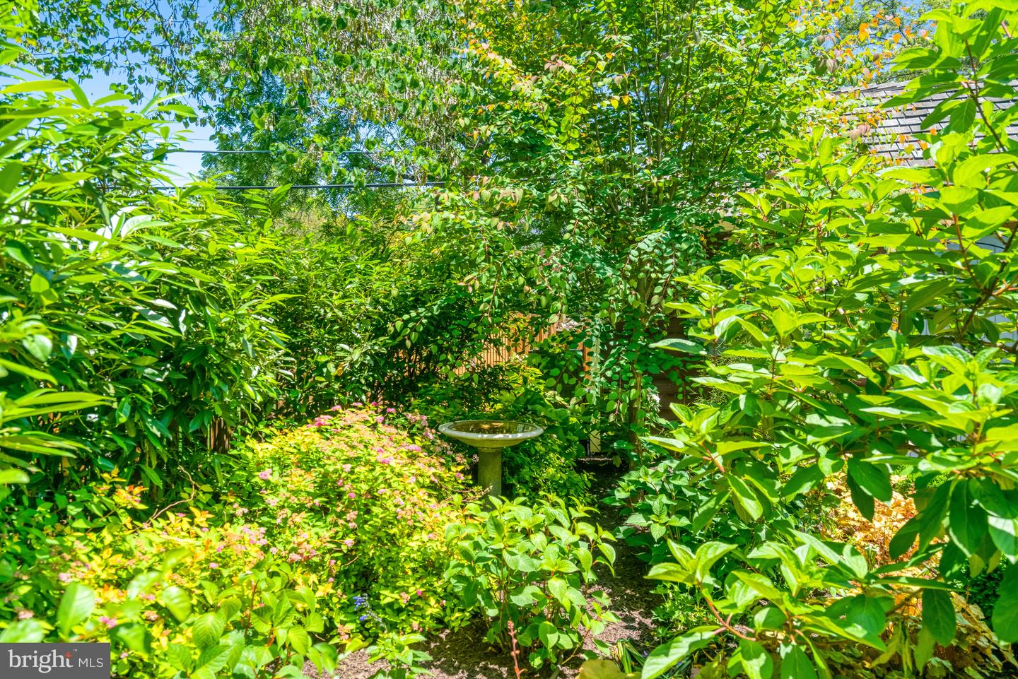 2305 S INGE ST S, ARLINGTON, Virginia 22202, 4 Bedrooms Bedrooms, ,2 BathroomsBathrooms,Residential,For sale,2305 S INGE ST S,VAAR2058458 MLS # VAAR2058458