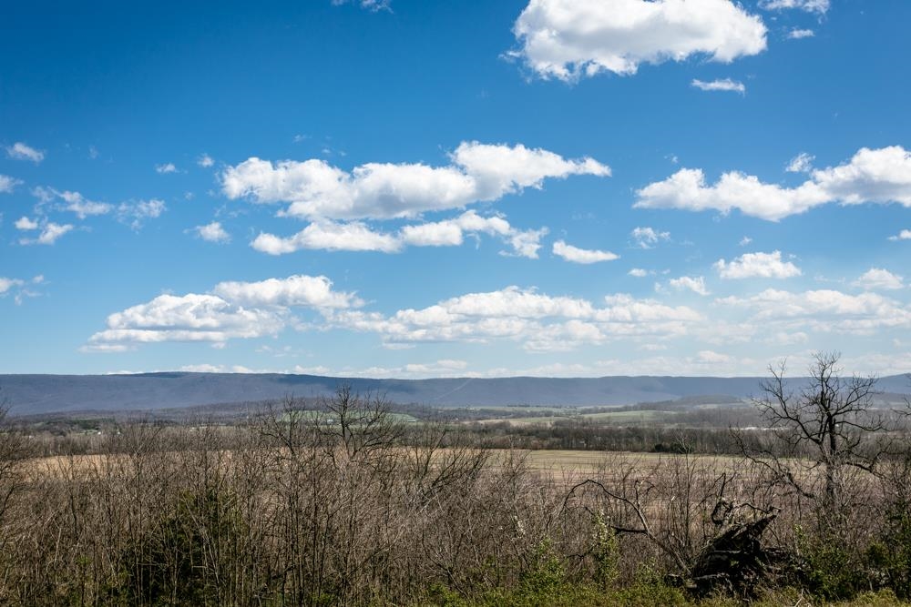 Lot A CHURCH ST, TIMBERVILLE, Virginia 22853, ,Land,Lot A CHURCH ST,651030 MLS # 651030