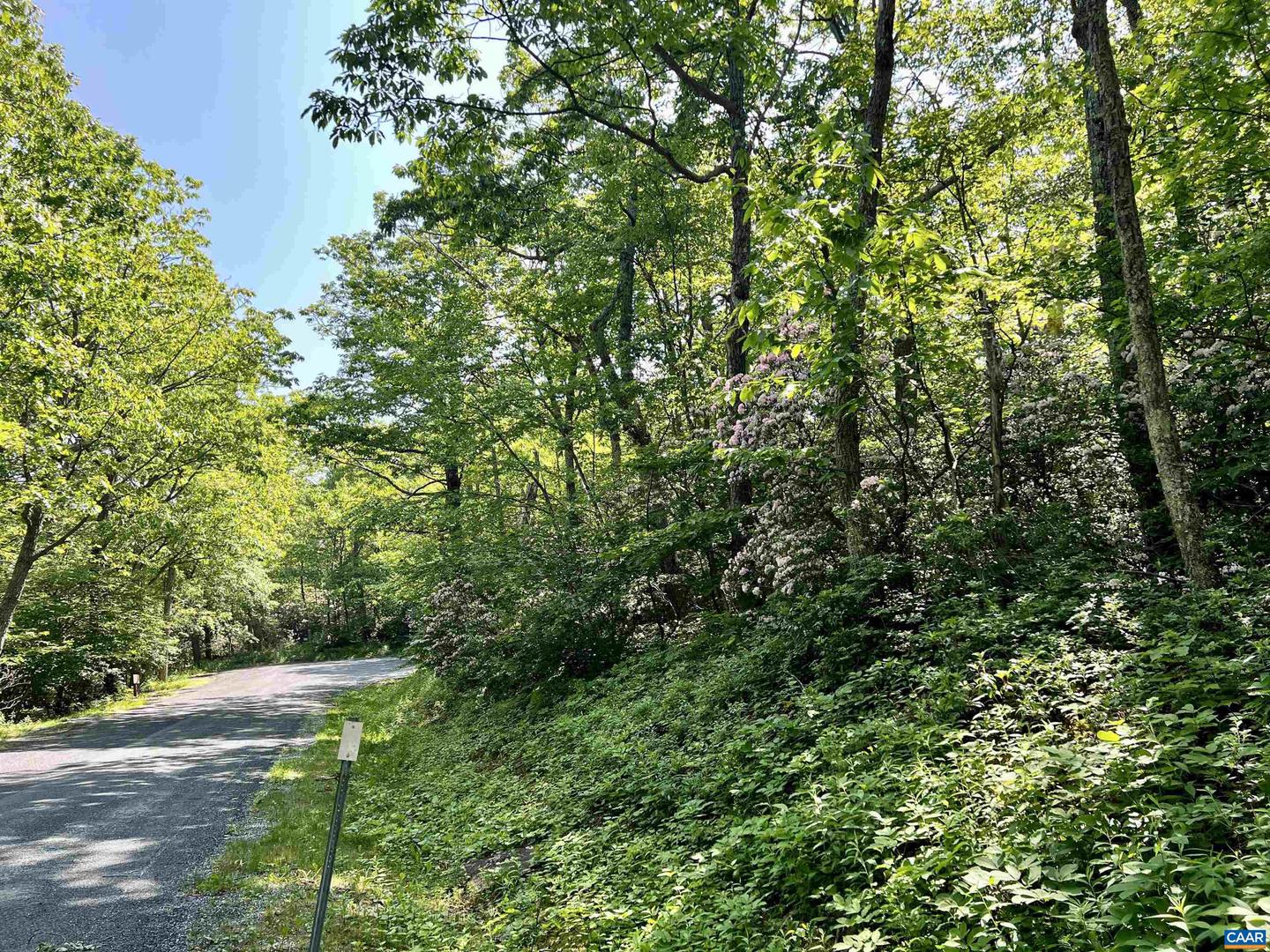 62 SPLIT ROCK TRL, WINTERGREEN RESORT, Virginia 22967, ,Land,For sale,62 SPLIT ROCK TRL,665411 MLS # 665411