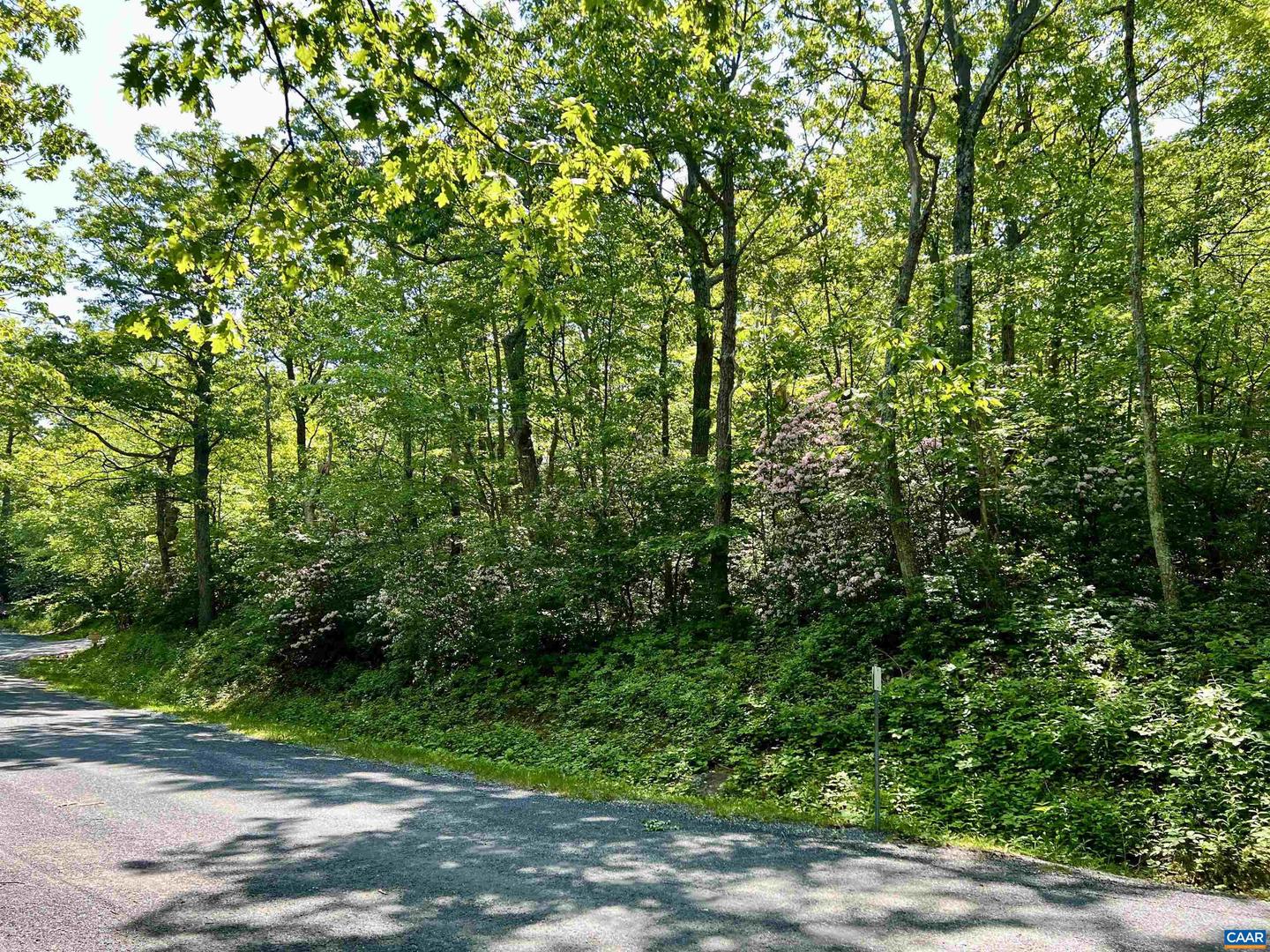 62 SPLIT ROCK TRL, WINTERGREEN RESORT, Virginia 22967, ,Land,For sale,62 SPLIT ROCK TRL,665411 MLS # 665411