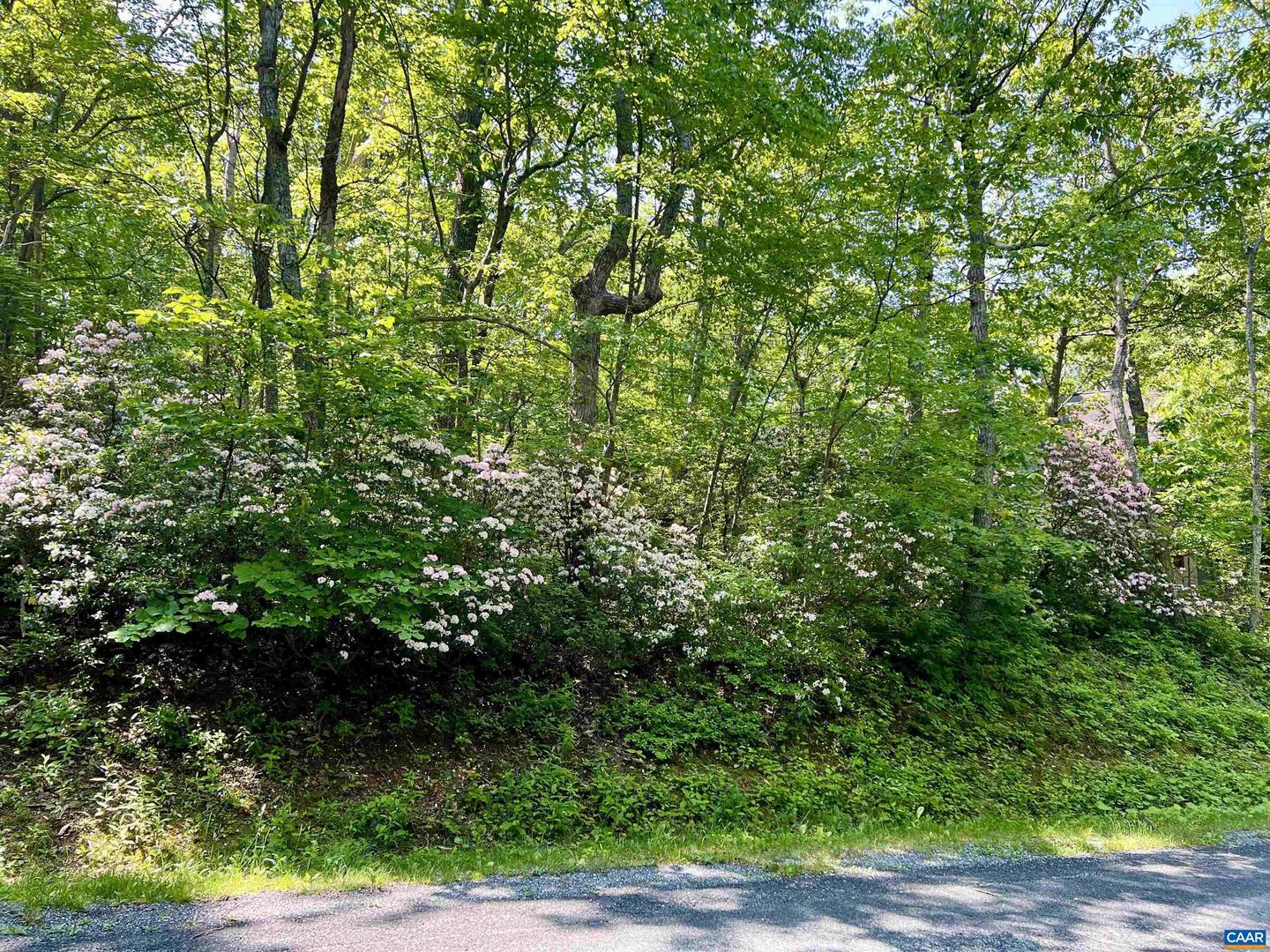 62 SPLIT ROCK TRL, WINTERGREEN RESORT, Virginia 22967, ,Land,For sale,62 SPLIT ROCK TRL,665411 MLS # 665411