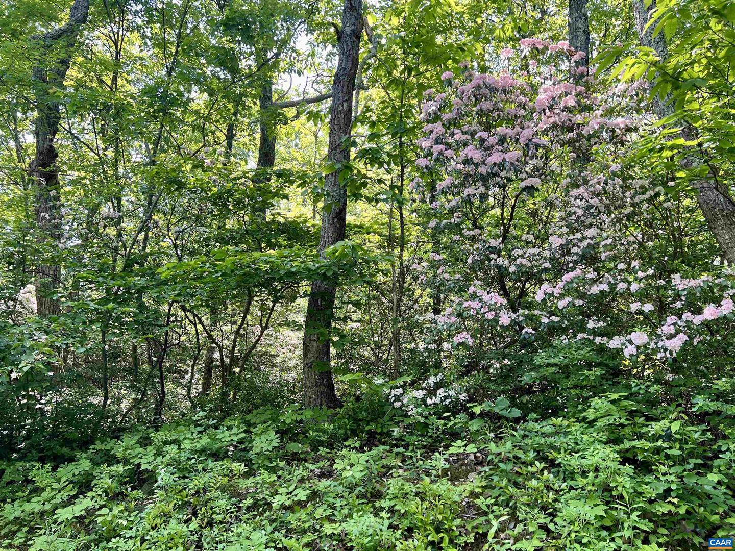 62 SPLIT ROCK TRL, WINTERGREEN RESORT, Virginia 22967, ,Land,For sale,62 SPLIT ROCK TRL,665411 MLS # 665411