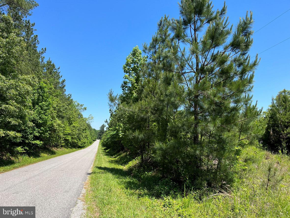 MOUNTAIN CREEK ROAD (BK3208-1 TRACT), MEHERRIN, Virginia 23954, ,Farm,For sale,MOUNTAIN CREEK ROAD (BK3208-1 TRACT),VAPE2000084 MLS # VAPE2000084