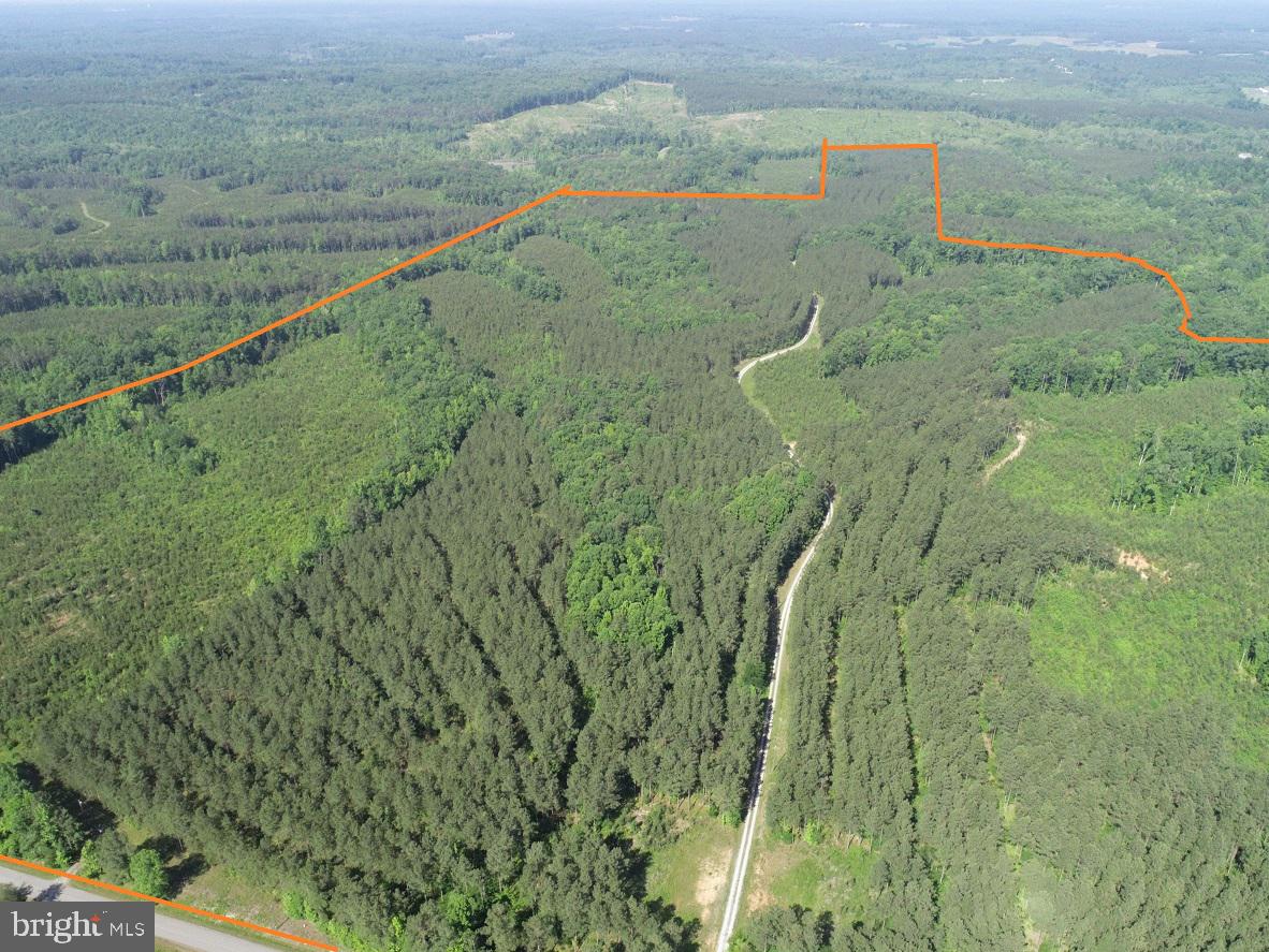 MOUNTAIN CREEK ROAD (BK3208-1 TRACT), MEHERRIN, Virginia 23954, ,Farm,For sale,MOUNTAIN CREEK ROAD (BK3208-1 TRACT),VAPE2000084 MLS # VAPE2000084