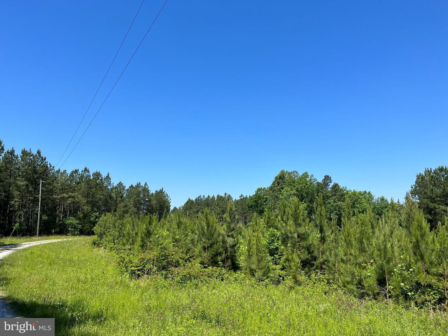 MOUNTAIN CREEK ROAD (BK3208-1 TRACT), MEHERRIN, Virginia 23954, ,Farm,For sale,MOUNTAIN CREEK ROAD (BK3208-1 TRACT),VAPE2000084 MLS # VAPE2000084