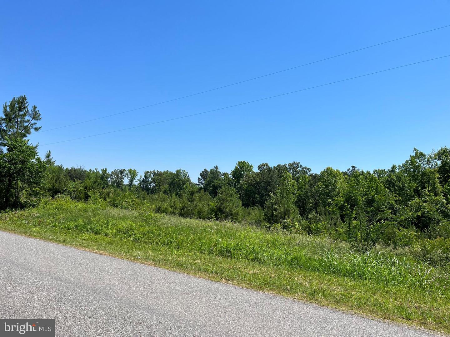MOUNTAIN CREEK ROAD (RT. 628) (BK3208-2 TRACT), MEHERRIN, Virginia 23954, ,Land,For sale,MOUNTAIN CREEK ROAD (RT. 628) (BK3208-2 TRACT),VAPE2000086 MLS # VAPE2000086