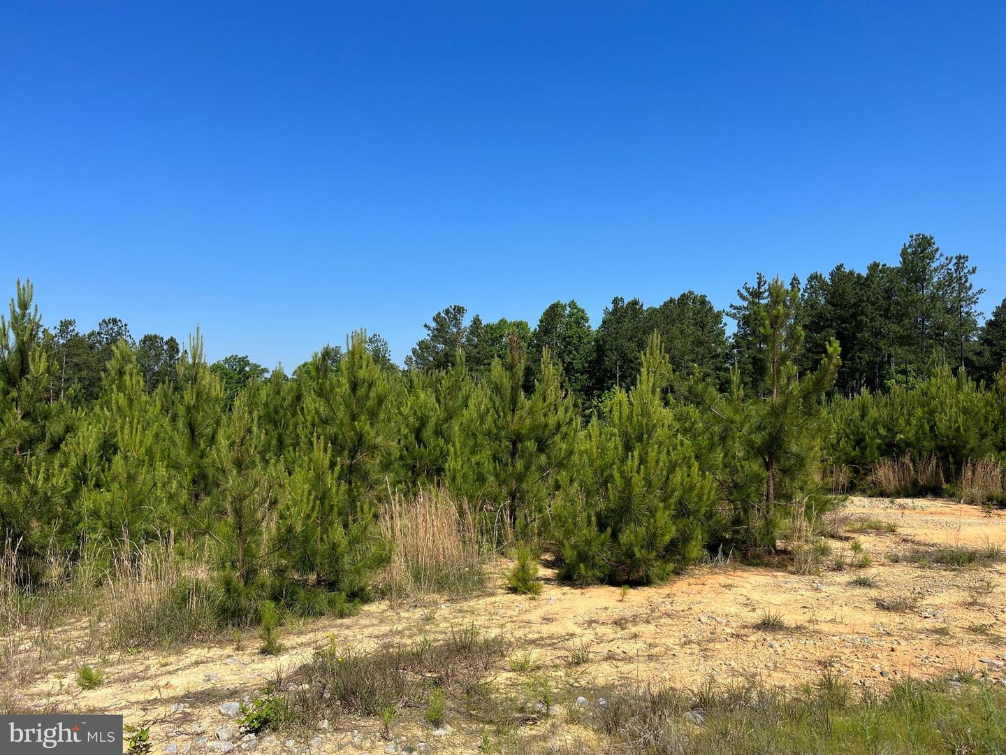 MOUNTAIN CREEK ROAD (RT. 628) (BK3208-2 TRACT), MEHERRIN, Virginia 23954, ,Land,For sale,MOUNTAIN CREEK ROAD (RT. 628) (BK3208-2 TRACT),VAPE2000086 MLS # VAPE2000086