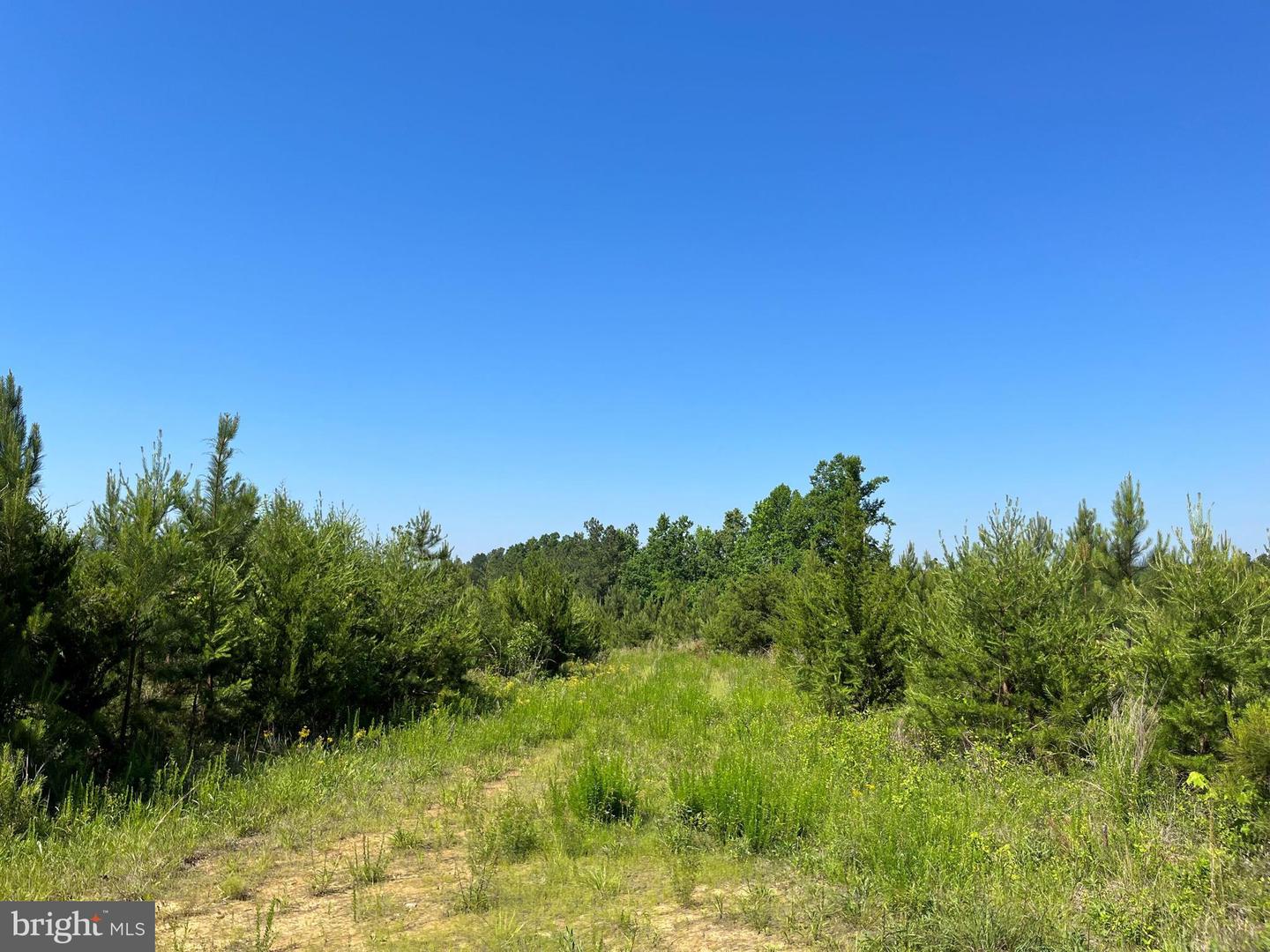 MOUNTAIN CREEK ROAD (RT. 628) (BK3208-2 TRACT), MEHERRIN, Virginia 23954, ,Land,For sale,MOUNTAIN CREEK ROAD (RT. 628) (BK3208-2 TRACT),VAPE2000086 MLS # VAPE2000086