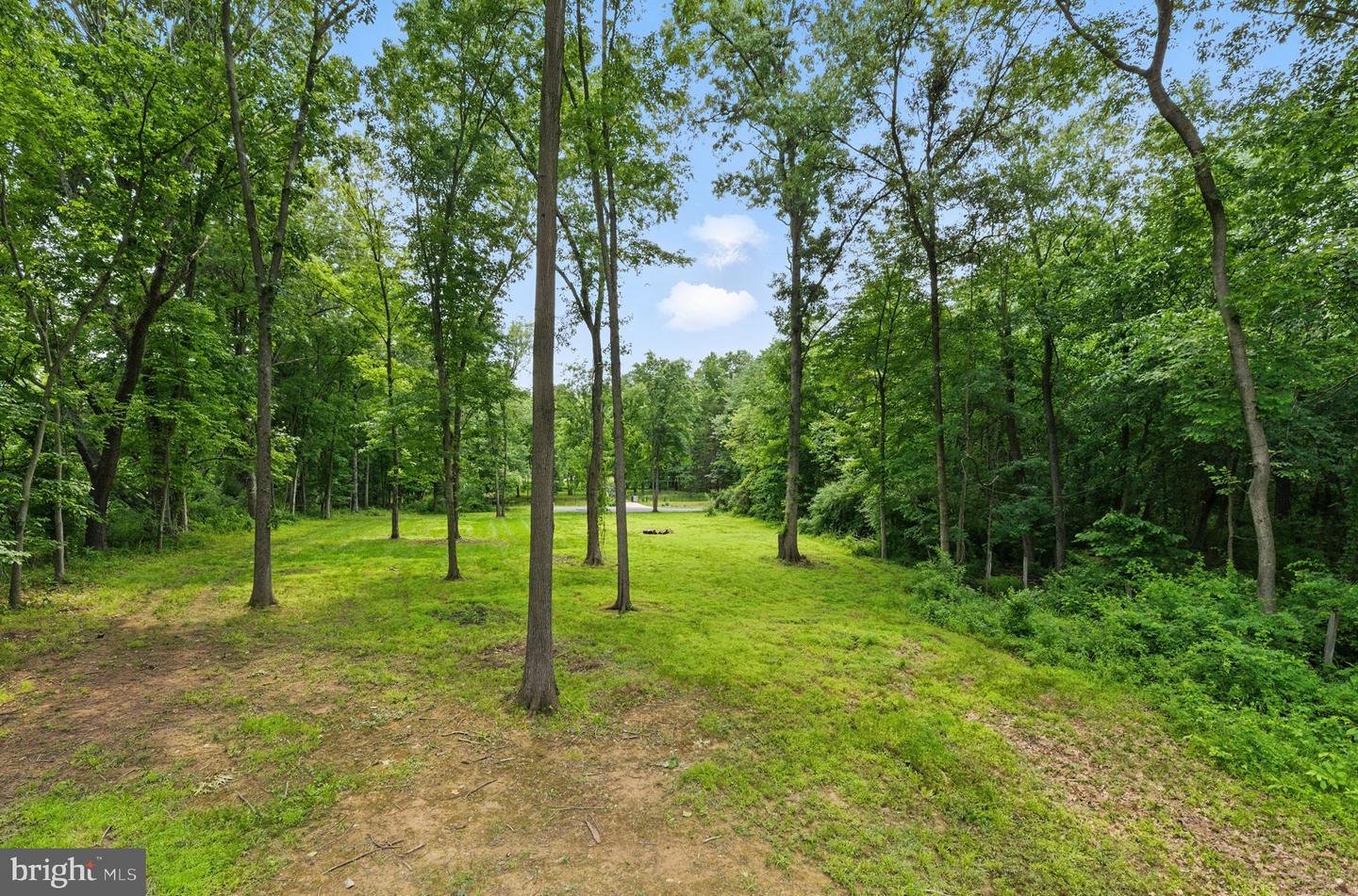 LOT 160 POTOMAC DR, ASHBURN, Virginia 20147, ,Land,For sale,LOT 160 POTOMAC DR,VALO2098918 MLS # VALO2098918