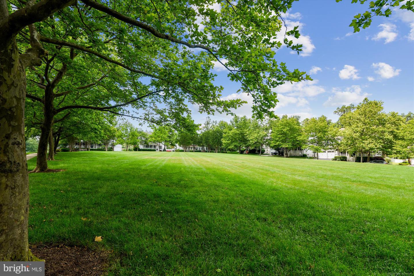 20242 MACGLASHAN TER, ASHBURN, Virginia 20147, 3 Bedrooms Bedrooms, ,2 BathroomsBathrooms,Residential,For sale,20242 MACGLASHAN TER,VALO2095872 MLS # VALO2095872