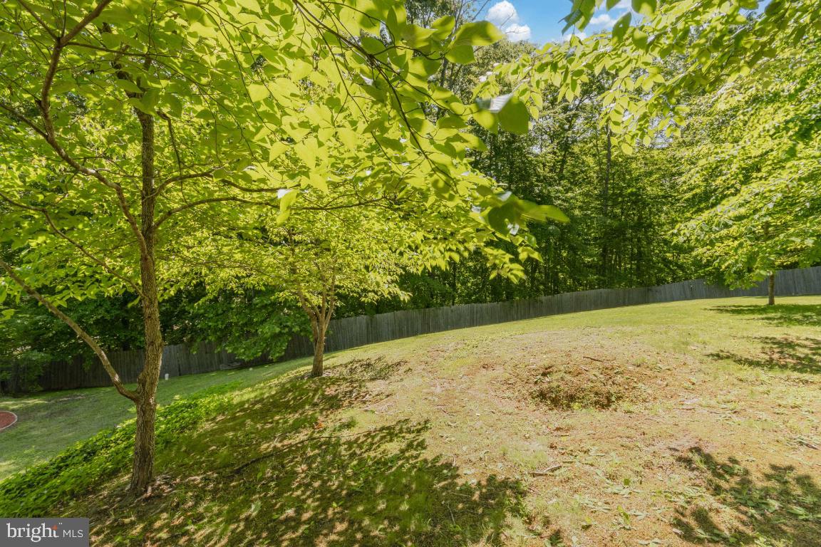 31 ANTLER TRL, FREDERICKSBURG, Virginia 22406, 4 Bedrooms Bedrooms, ,2 BathroomsBathrooms,Residential,For sale,31 ANTLER TRL,VAST2038776 MLS # VAST2038776