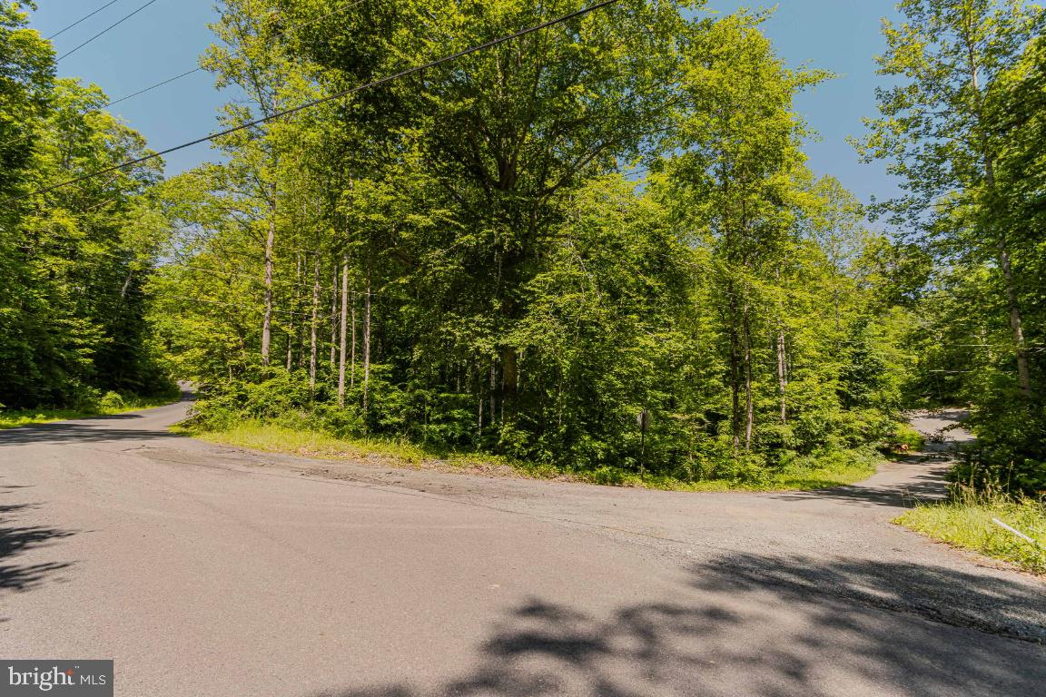 31 ANTLER TRL, FREDERICKSBURG, Virginia 22406, 4 Bedrooms Bedrooms, ,2 BathroomsBathrooms,Residential,For sale,31 ANTLER TRL,VAST2038776 MLS # VAST2038776