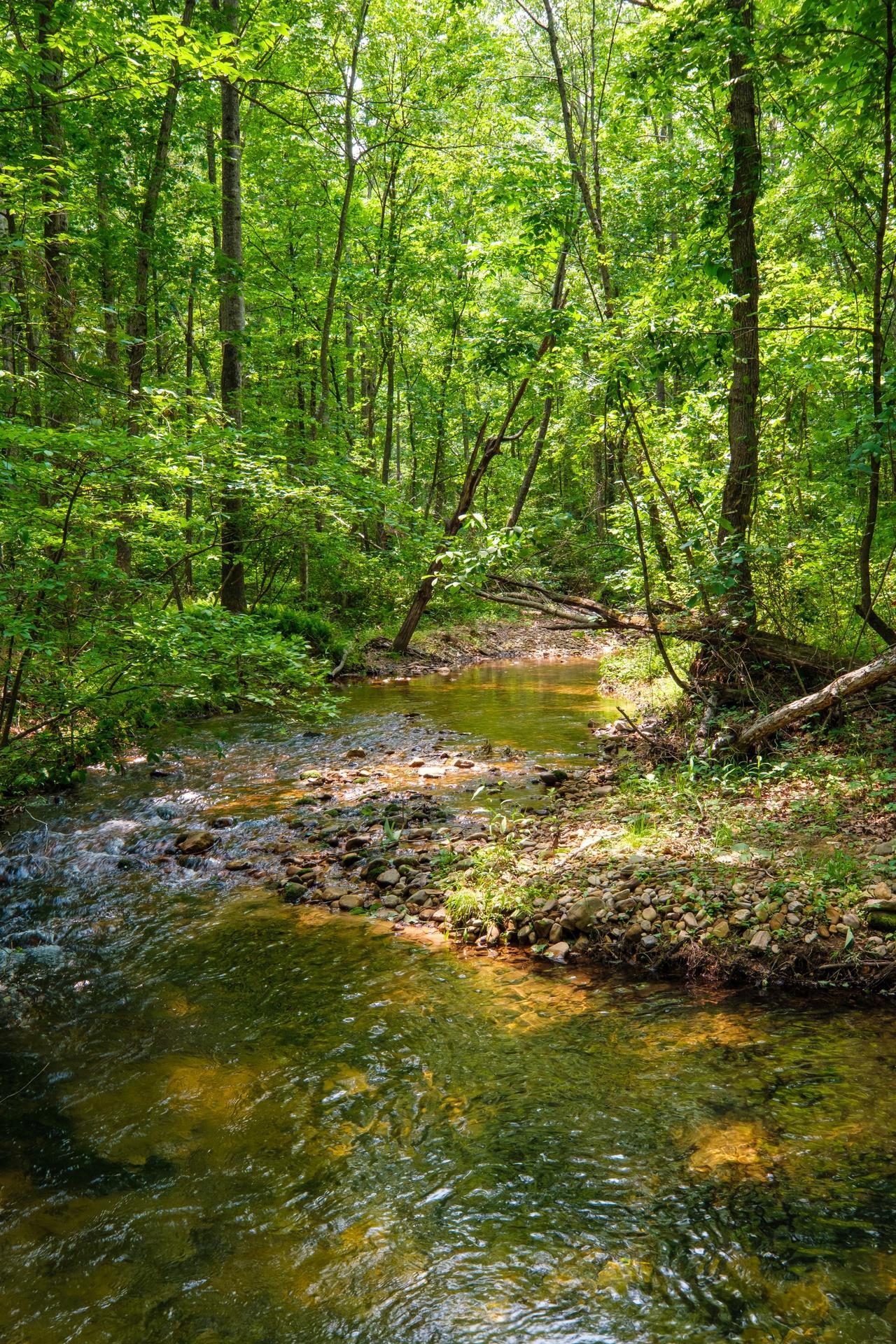 KENNEDY RIDGE CT, STUARTS DRAFT, Virginia 24477, ,Land,KENNEDY RIDGE CT,665438 MLS # 665438