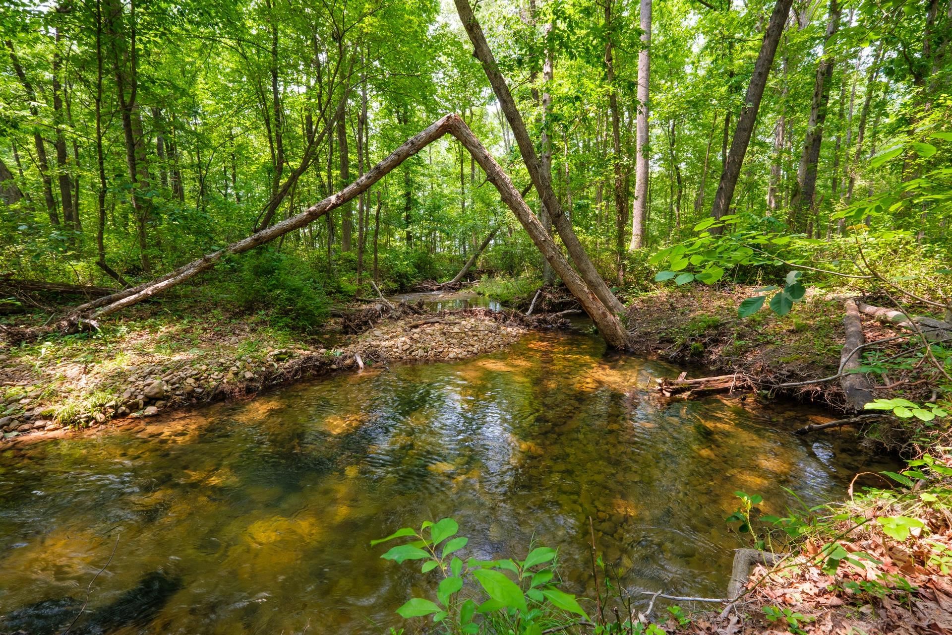 KENNEDY RIDGE CT, STUARTS DRAFT, Virginia 24477, ,Land,KENNEDY RIDGE CT,665438 MLS # 665438