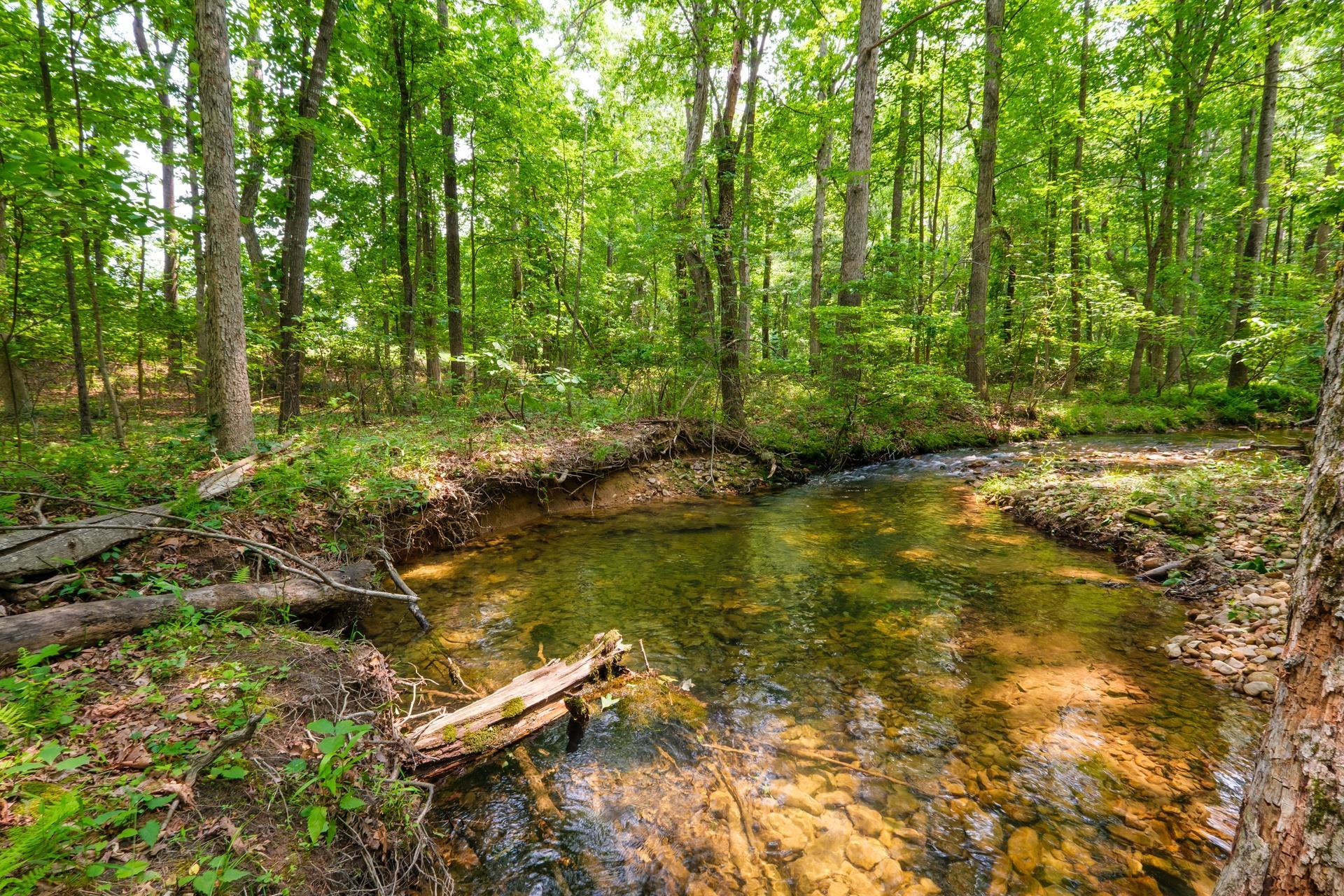 KENNEDY RIDGE CT, STUARTS DRAFT, Virginia 24477, ,Land,KENNEDY RIDGE CT,665438 MLS # 665438