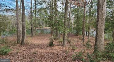 LOTS 26 AND 27 OLDE MILL LANE, NEW CHURCH, Virginia 23415, ,Land,For sale,LOTS 26 AND 27 OLDE MILL LANE,VAAC2001212 MLS # VAAC2001212