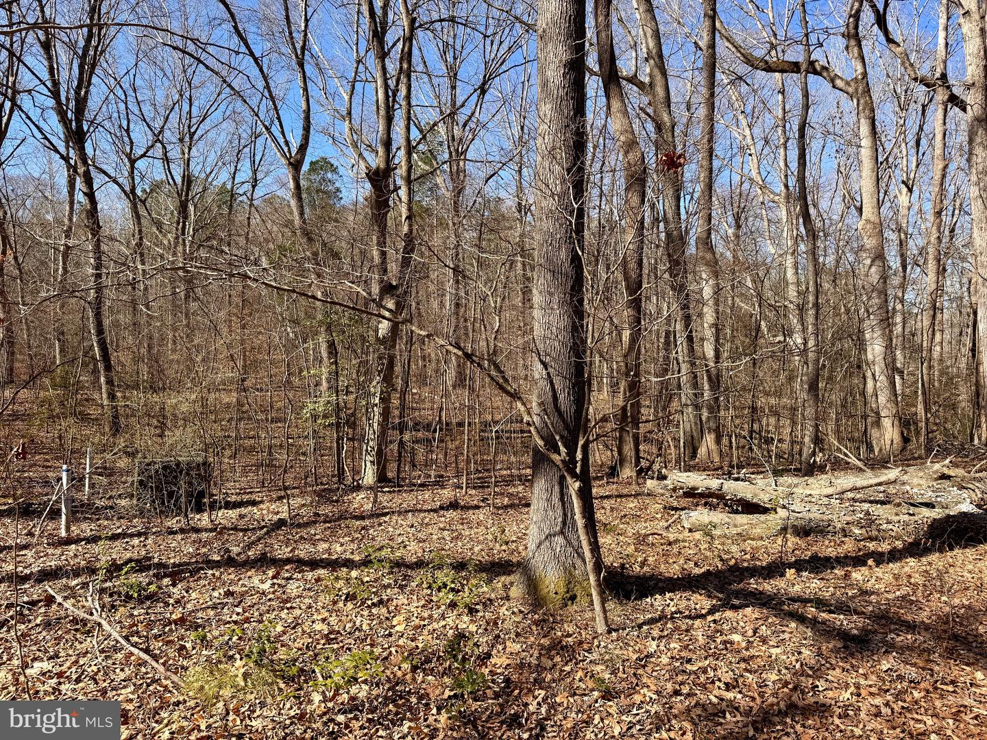 13 GLENWOOD LN, IRVINGTON, Virginia 22480, ,Land,For sale,13 GLENWOOD LN,VALV2000726 MLS # VALV2000726