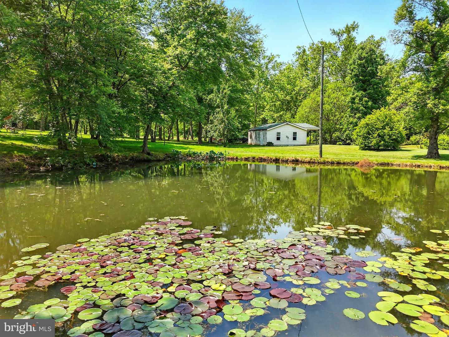 13057 JOHN MARSHALL HWY, LINDEN, Virginia 22642, 1 Bedroom Bedrooms, ,1 BathroomBathrooms,Residential,For sale,13057 JOHN MARSHALL HWY,VAFQ2016794 MLS # VAFQ2016794