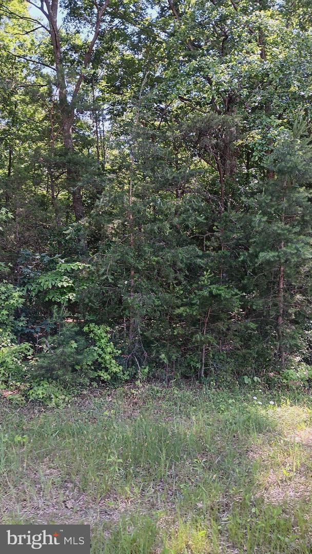 MASSAPONAX CHURCH ROAD, FREDERICKSBURG, Virginia 22407, ,Land,For sale,MASSAPONAX CHURCH ROAD,VASP2033634 MLS # VASP2033634