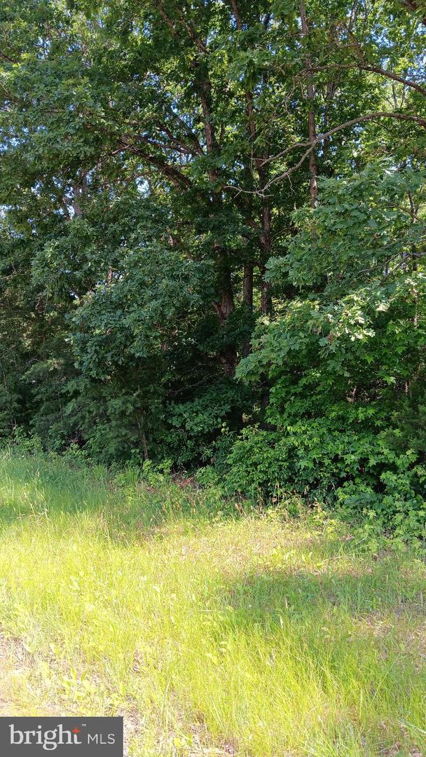 MASSAPONAX CHURCH ROAD, FREDERICKSBURG, Virginia 22407, ,Land,For sale,MASSAPONAX CHURCH ROAD,VASP2033634 MLS # VASP2033634