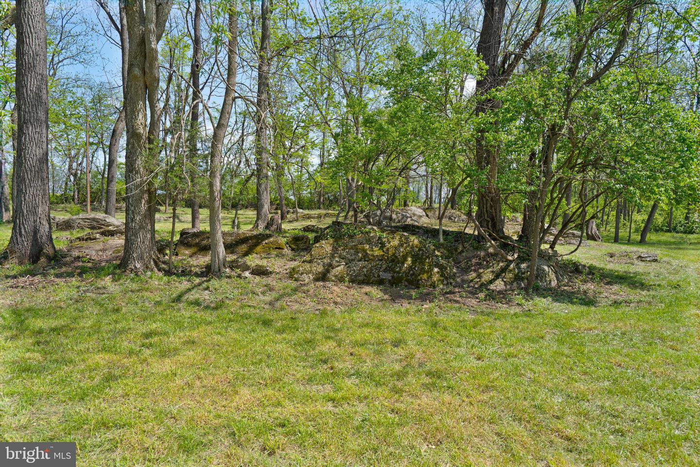 LOT 6 OLD WATERLOO RD, BOYCE, Virginia 22620, ,Land,For sale,LOT 6 OLD WATERLOO RD,VACL2003798 MLS # VACL2003798
