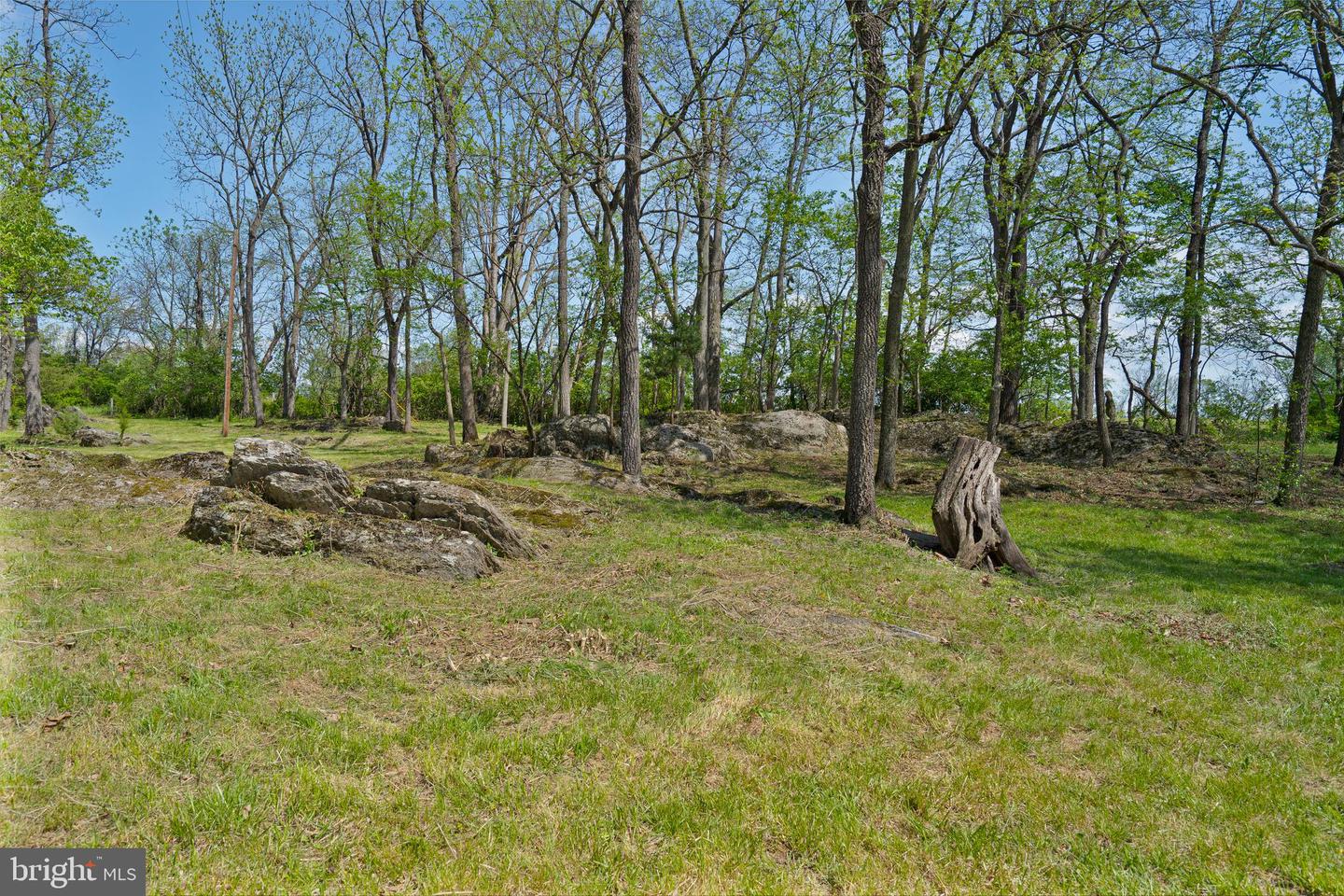 LOT 6 OLD WATERLOO RD, BOYCE, Virginia 22620, ,Land,For sale,LOT 6 OLD WATERLOO RD,VACL2003798 MLS # VACL2003798