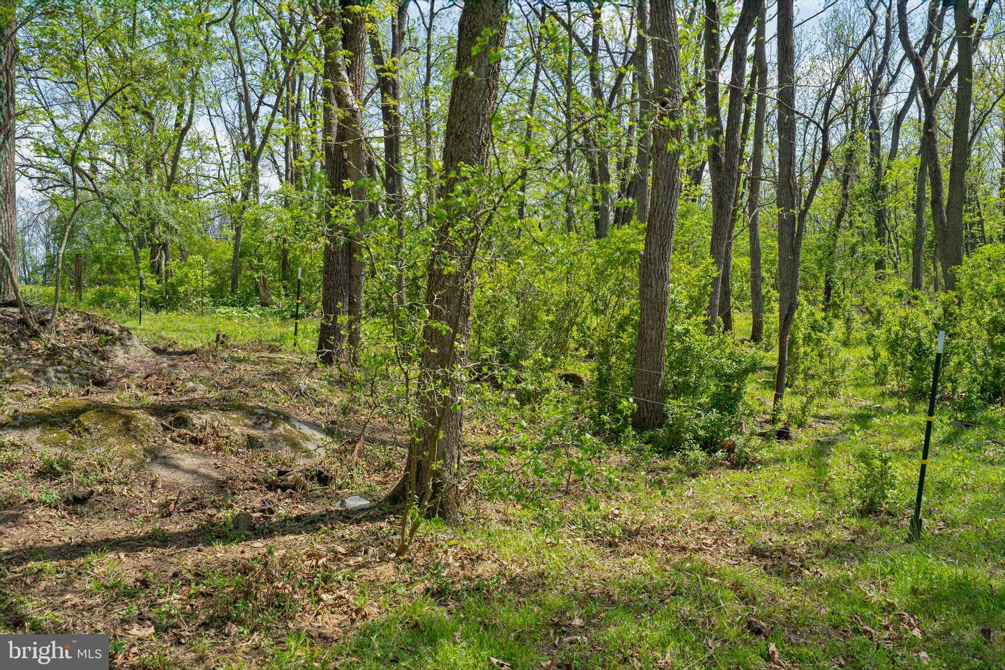LOT 6 OLD WATERLOO RD, BOYCE, Virginia 22620, ,Land,For sale,LOT 6 OLD WATERLOO RD,VACL2003798 MLS # VACL2003798