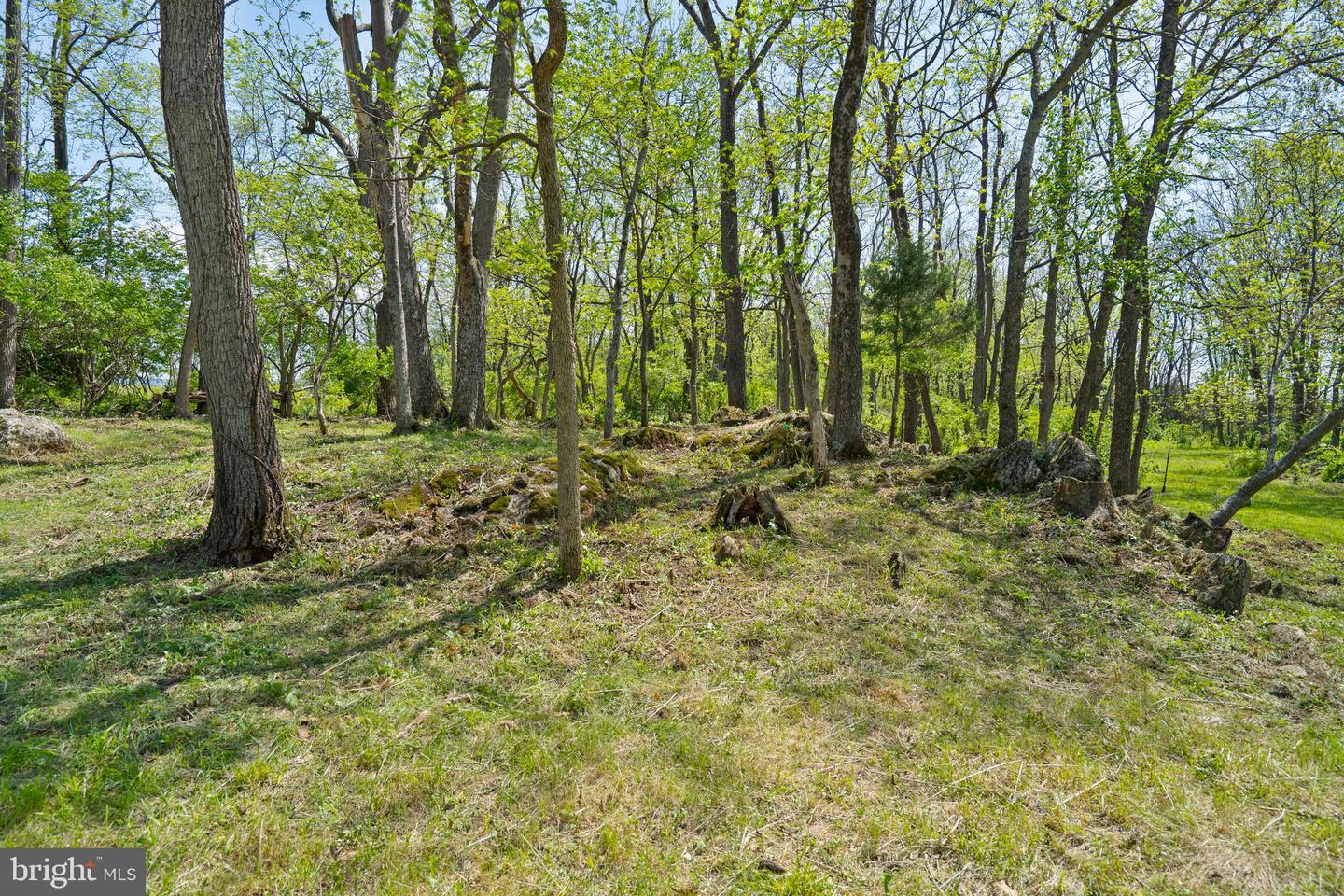 LOT 6 OLD WATERLOO RD, BOYCE, Virginia 22620, ,Land,For sale,LOT 6 OLD WATERLOO RD,VACL2003798 MLS # VACL2003798