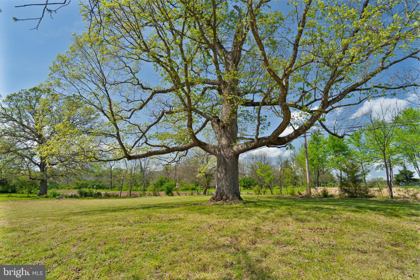 LOT 6 OLD WATERLOO RD, BOYCE, Virginia 22620, ,Land,For sale,LOT 6 OLD WATERLOO RD,VACL2003798 MLS # VACL2003798
