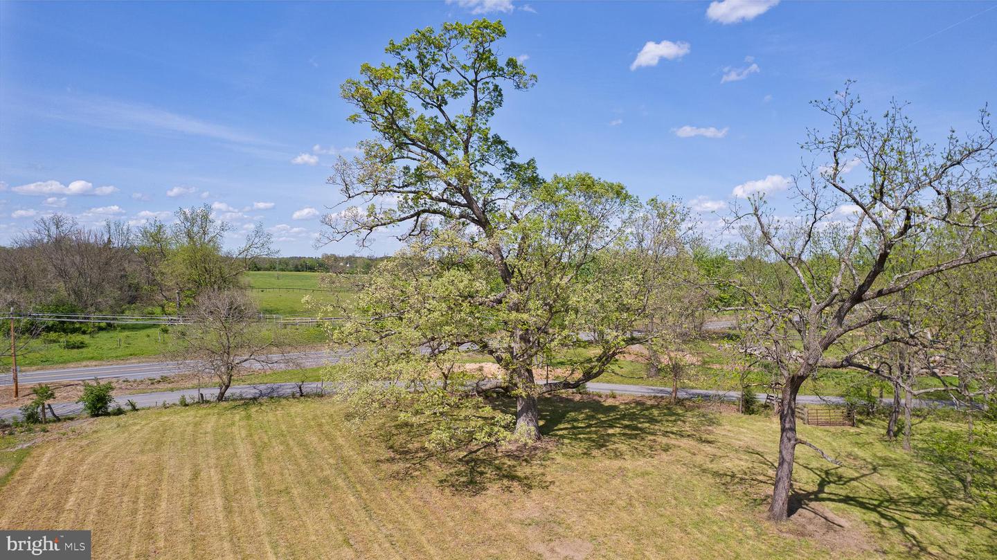 LOT 6 OLD WATERLOO RD, BOYCE, Virginia 22620, ,Land,For sale,LOT 6 OLD WATERLOO RD,VACL2003798 MLS # VACL2003798