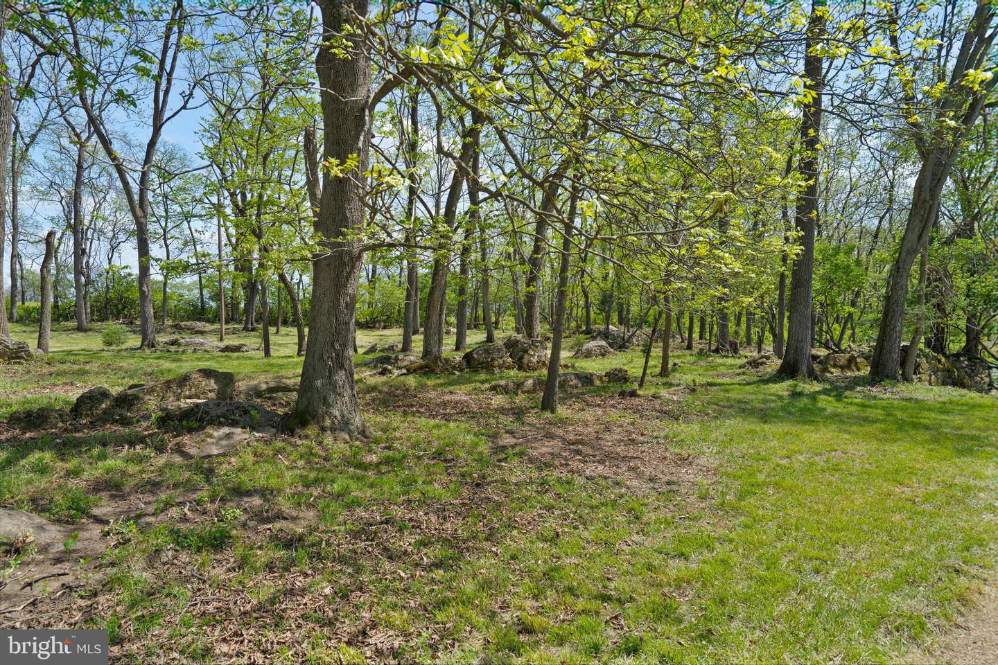 LOT 6 OLD WATERLOO RD, BOYCE, Virginia 22620, ,Land,For sale,LOT 6 OLD WATERLOO RD,VACL2003798 MLS # VACL2003798