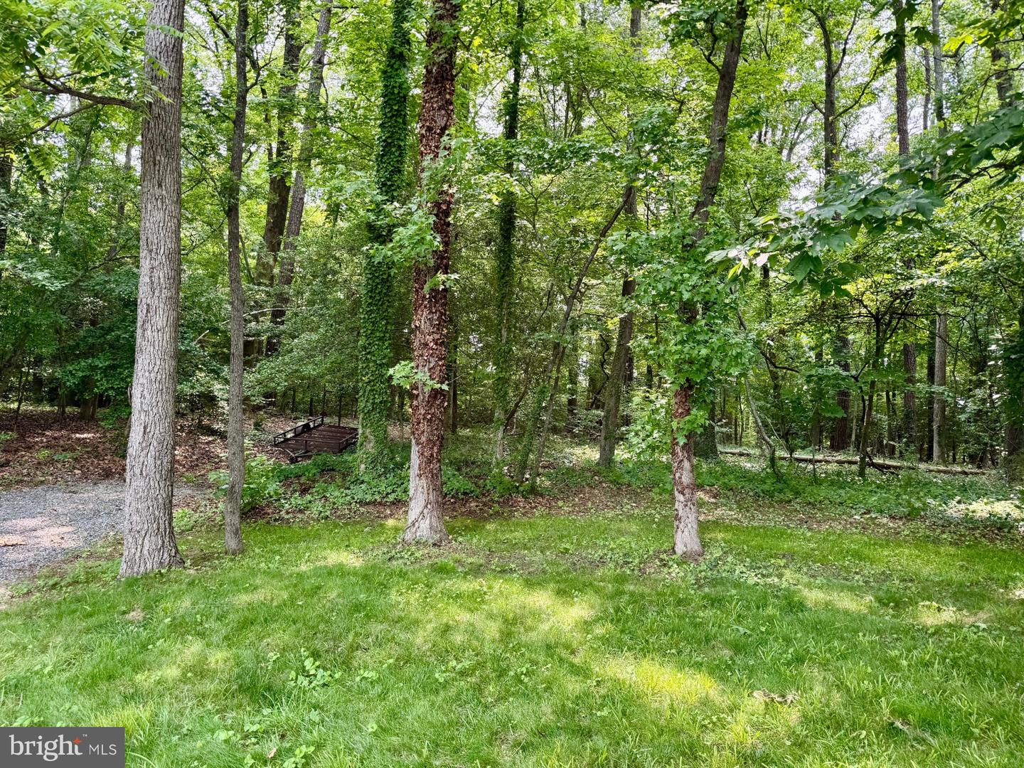 0000 WILDWOOD PL, CENTER CROSS, Virginia 22437, ,Land,For sale,0000 WILDWOOD PL,VAES2000896 MLS # VAES2000896
