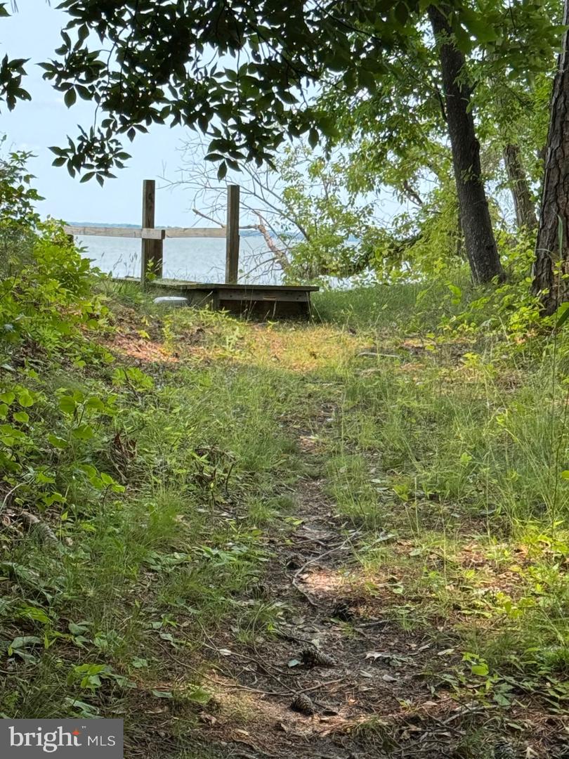 0000 WILDWOOD PL, CENTER CROSS, Virginia 22437, ,Land,For sale,0000 WILDWOOD PL,VAES2000896 MLS # VAES2000896