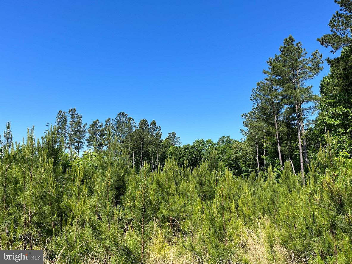 MOUNTAIN CREEK ROAD (RT. 628) (BK3208-3 TRACT), MEHERRIN, Virginia 23954, ,Farm,For sale,MOUNTAIN CREEK ROAD (RT. 628) (BK3208-3 TRACT),VAPE2000088 MLS # VAPE2000088