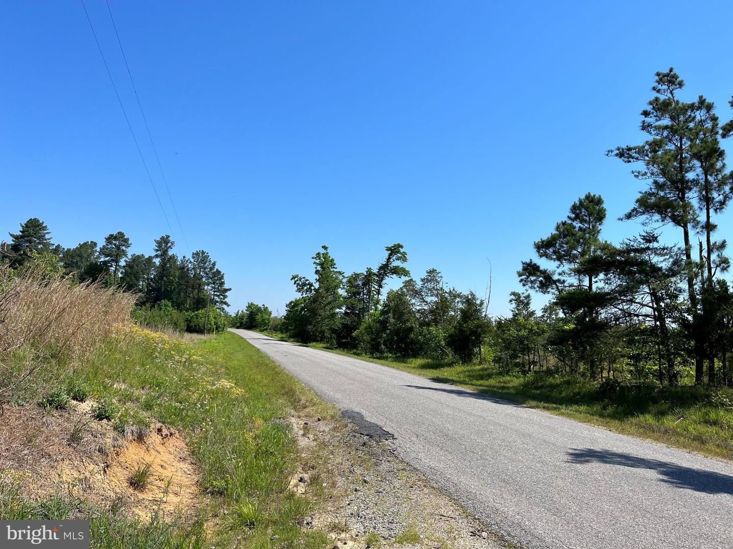MOUNTAIN CREEK ROAD (RT. 628) (BK3208-3 TRACT), MEHERRIN, Virginia 23954, ,Farm,For sale,MOUNTAIN CREEK ROAD (RT. 628) (BK3208-3 TRACT),VAPE2000088 MLS # VAPE2000088