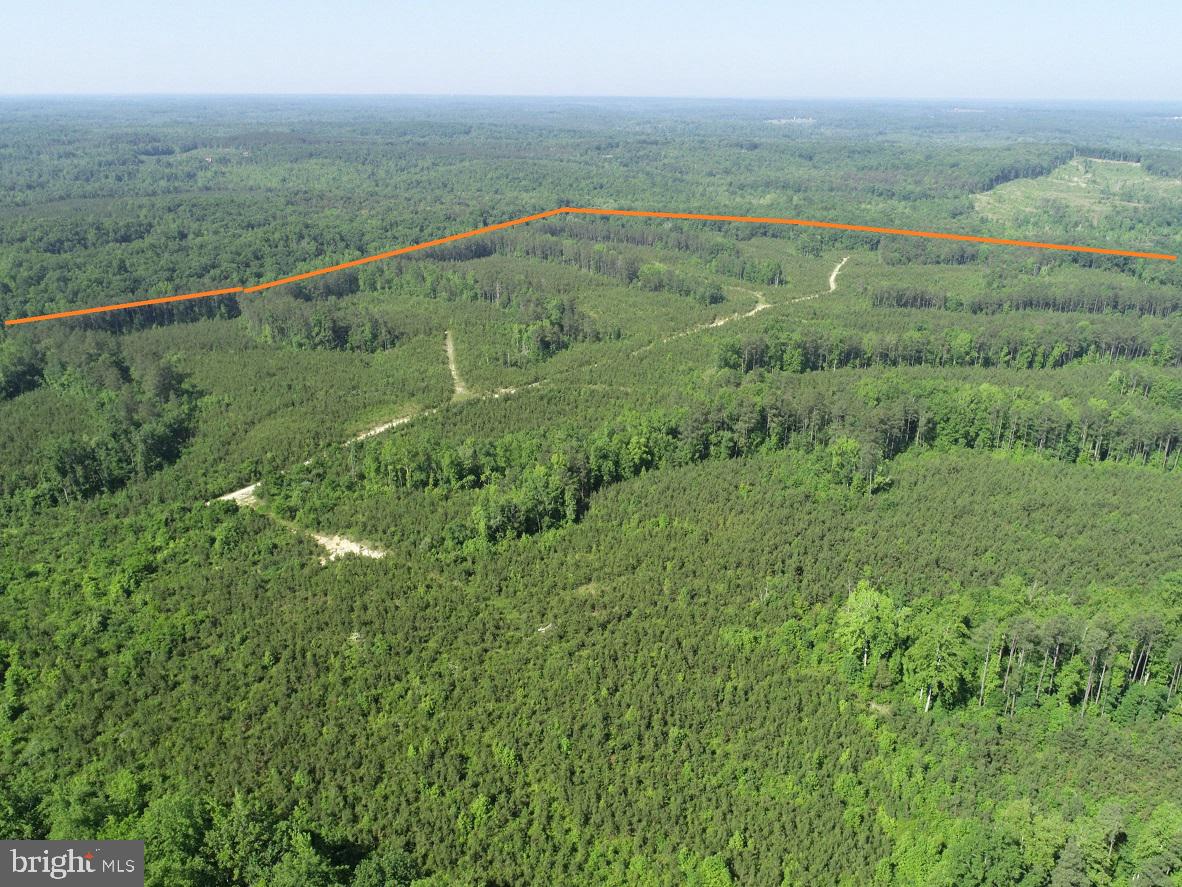 MOUNTAIN CREEK ROAD (RT. 628) (BK3208-3 TRACT), MEHERRIN, Virginia 23954, ,Farm,For sale,MOUNTAIN CREEK ROAD (RT. 628) (BK3208-3 TRACT),VAPE2000088 MLS # VAPE2000088